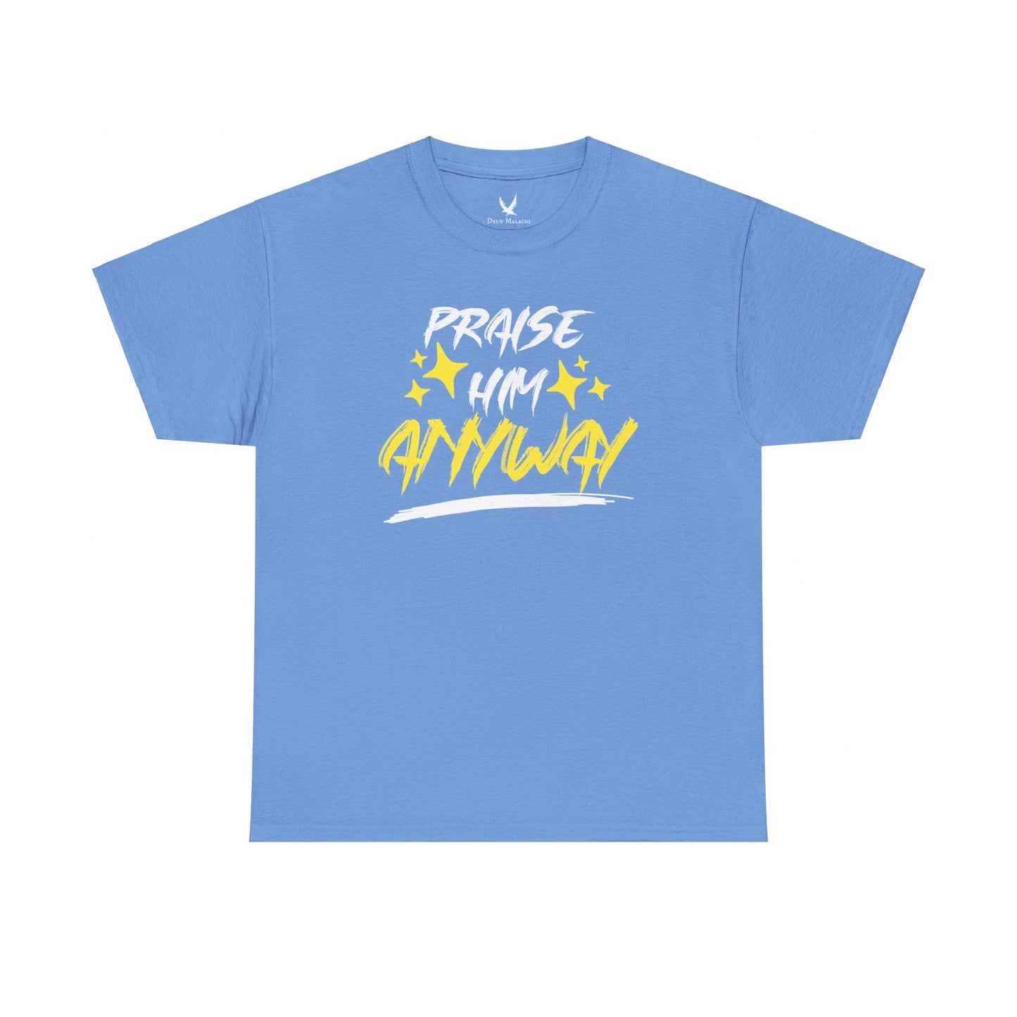 Praise Him Anyway
