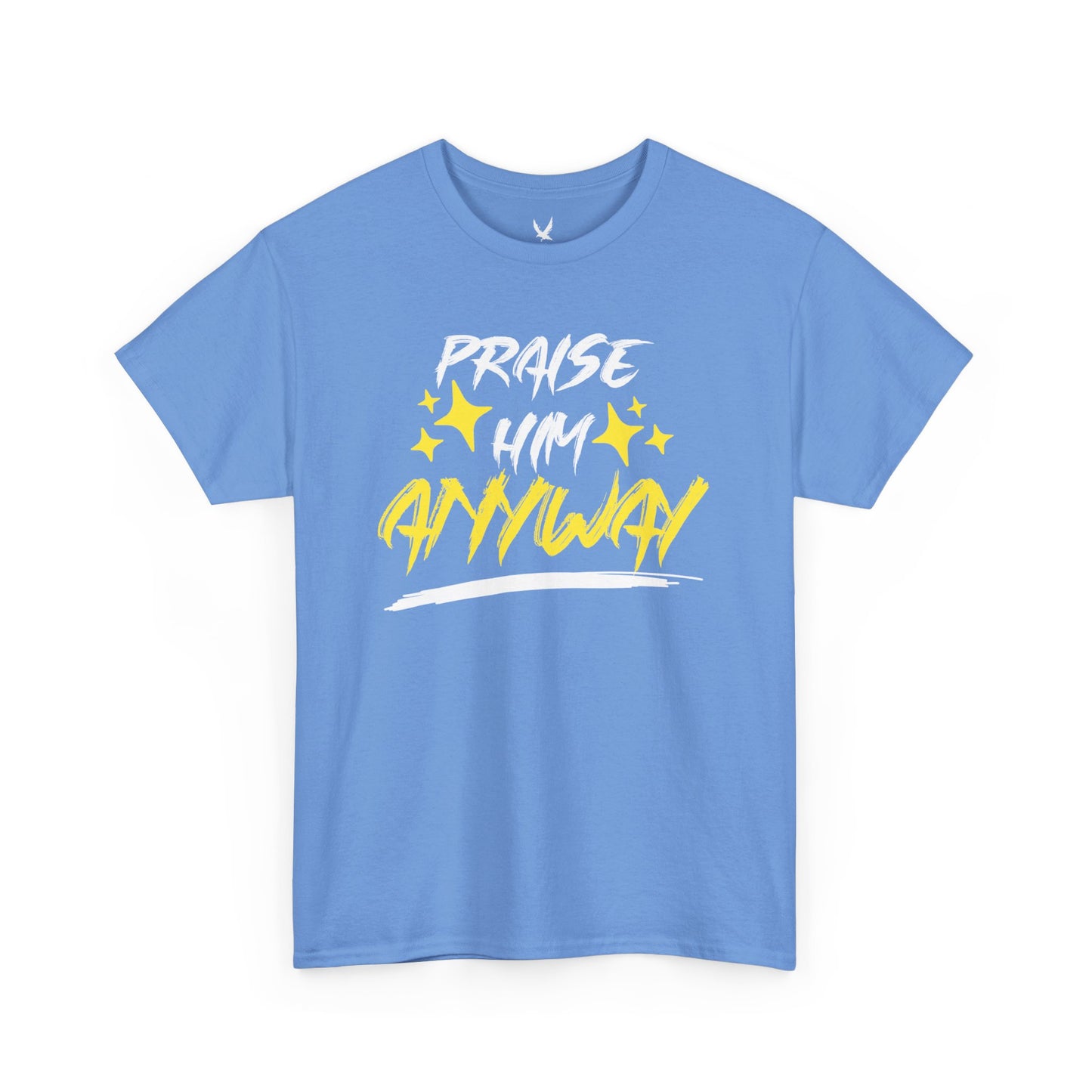 Praise Him Anyway