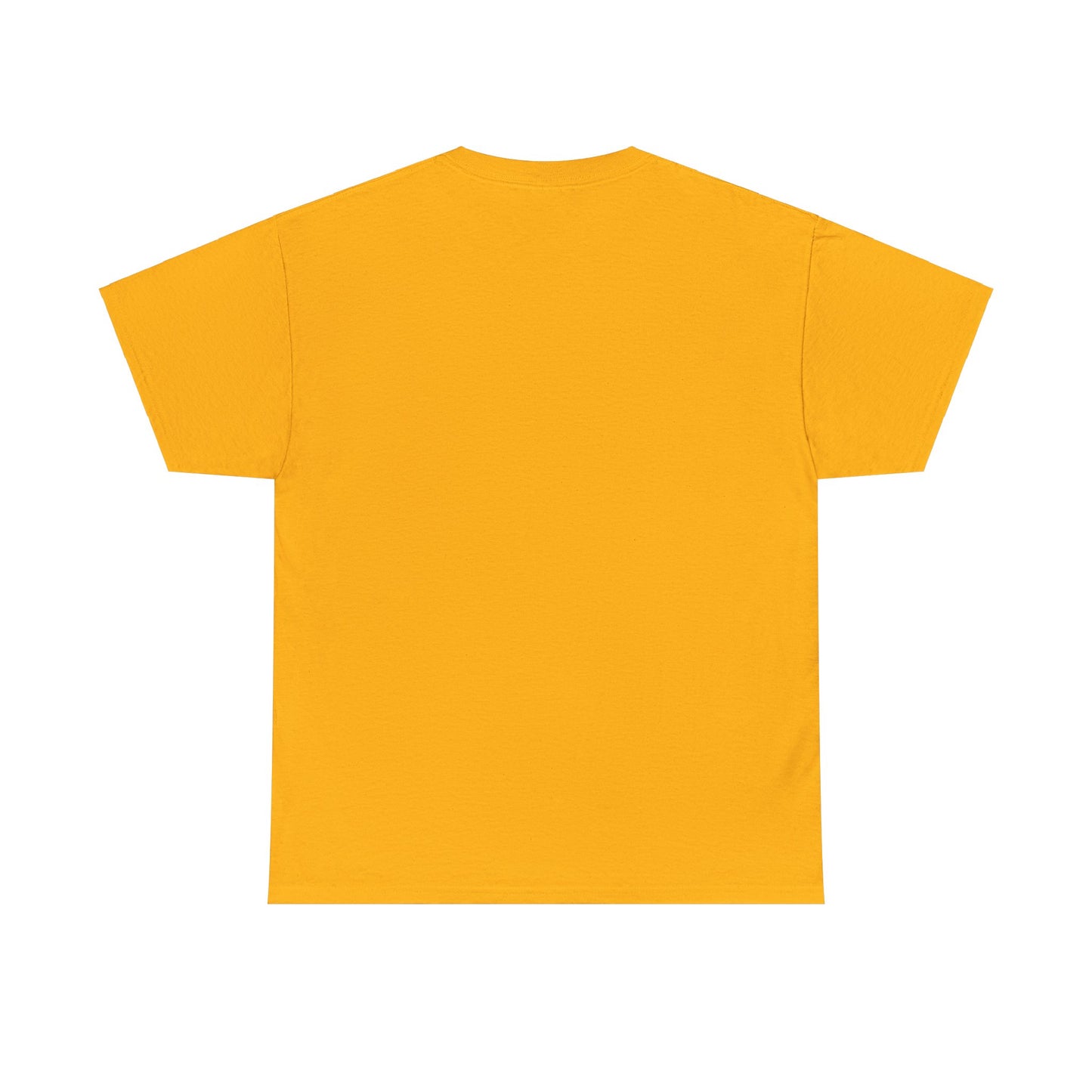 You need Jesus Tshirt